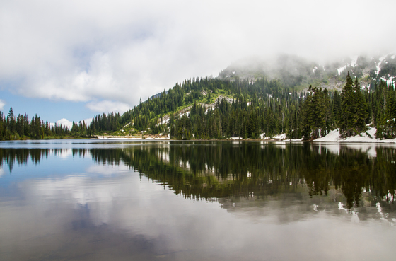 Mount Rainier National Park