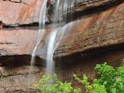 Zion National Park