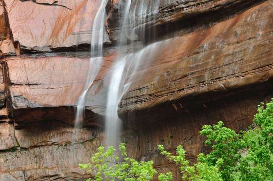Zion National Park