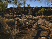 Sunset Crater Volcano National Monument