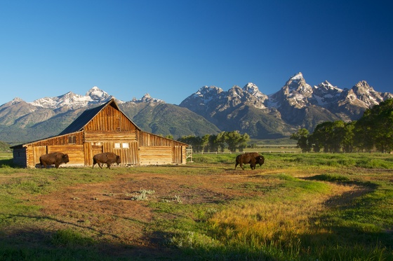 Grand Teton National Park