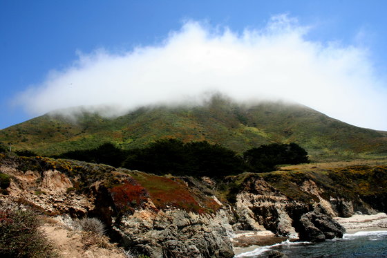 Los Padres National Forrest