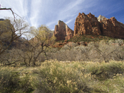 Zion National Park