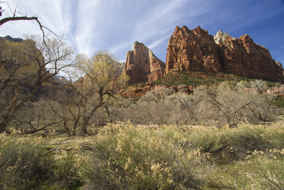 Zion National Park