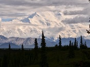 Denali National park