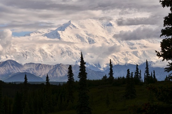 Denali National park