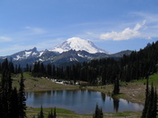 Mt. Rainier National Park