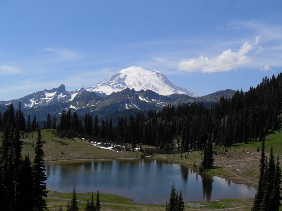 Mt. Rainier National Park
