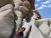 Joshua Trees National Park, California