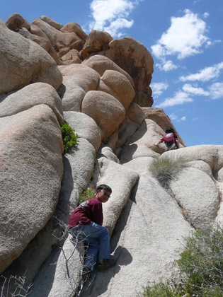 Joshua Trees National Park, California