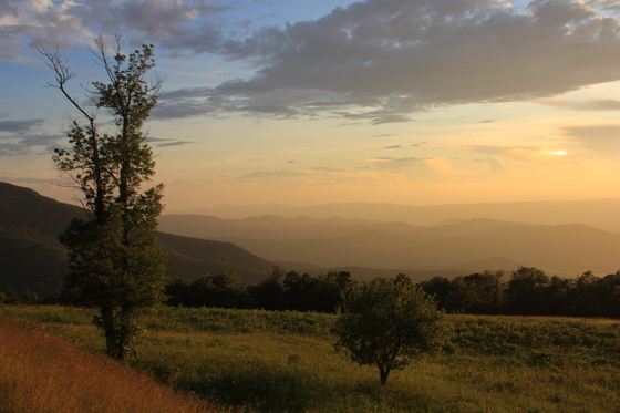 Shenandoah National Park