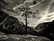 Zion
