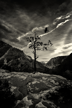 Zion