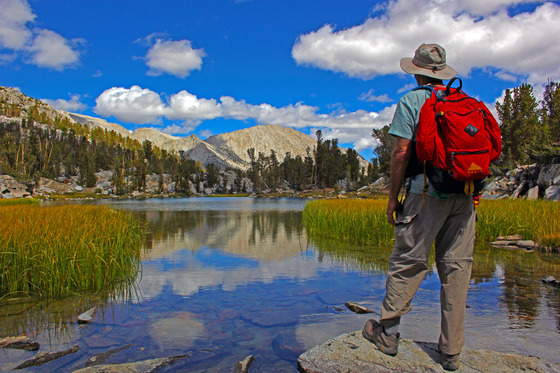 Inyo National Forest