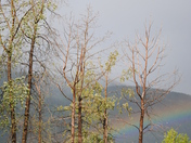 Kenai National Wildlife Refuge