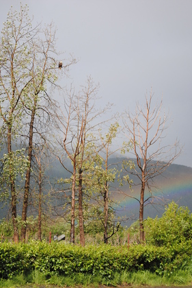 Kenai National Wildlife Refuge