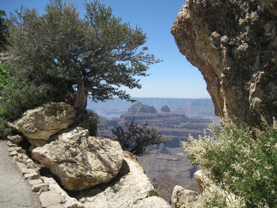 Grand Canyon/North Rim
