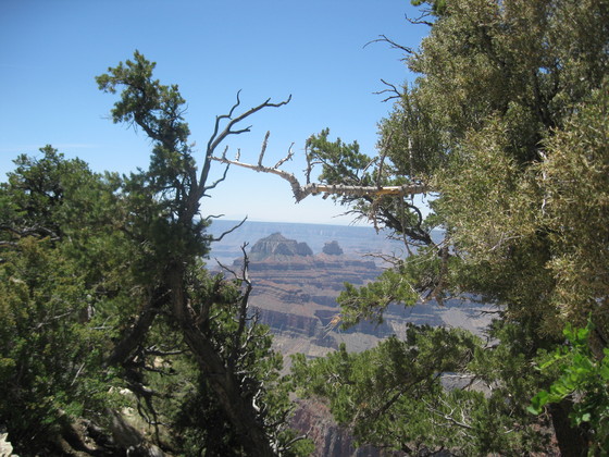 Grand Canyon/North Rim
