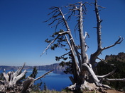 Crater Lake National Park