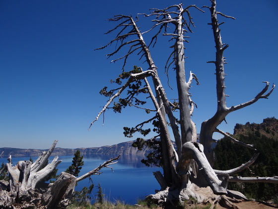 Crater Lake National Park