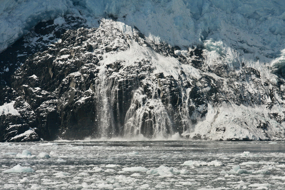 Kenai Fjords National Park
