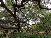 San Antonio Missions National Historical Park