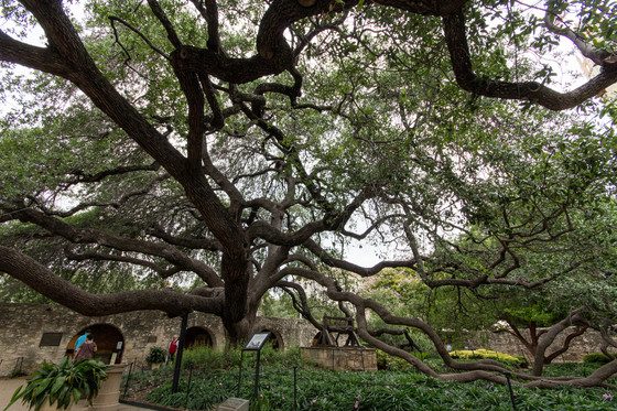 San Antonio Missions National Historical Park