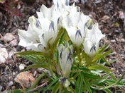 Rocky Mountain National Park