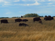 North west Territories