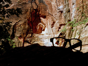 Zion NP