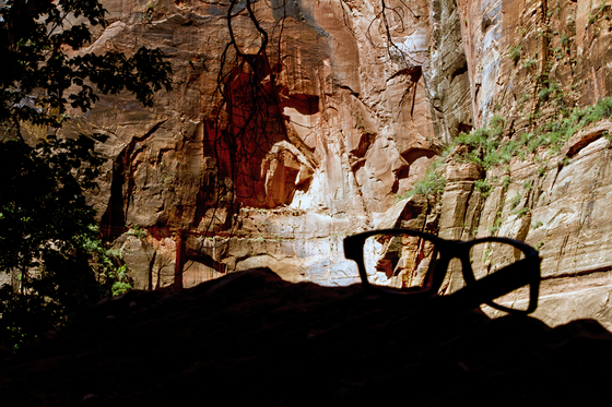 Zion NP