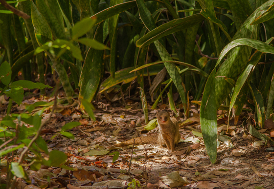 Virgin Islands National Park