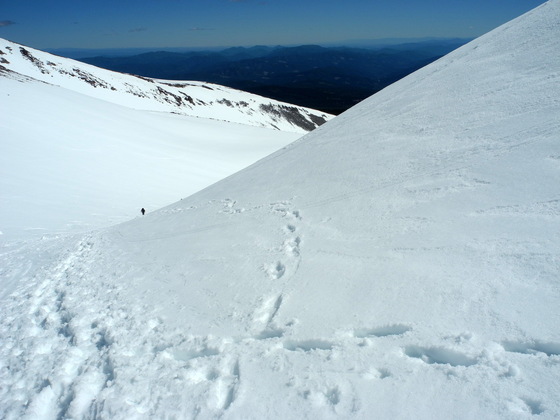 Shasta-Trinity National Forest