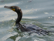 Ready for my Close-Up