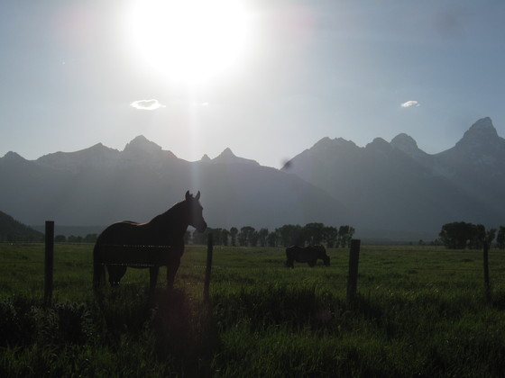 Grand Teton National Park