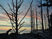 Olympic National Park