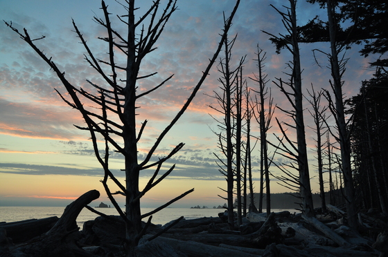 Olympic National Park