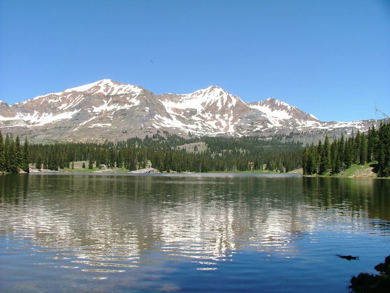 Gunnison National Forest