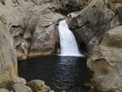 Kings Canyon National Park