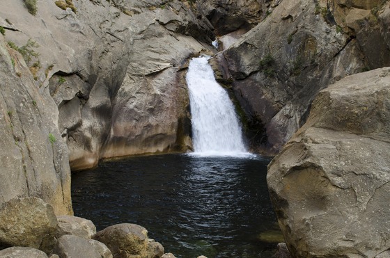 Kings Canyon National Park