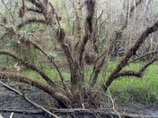 Everglades National Park
