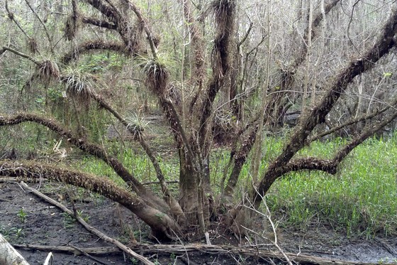 Everglades National Park