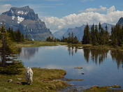 Glacier National Park