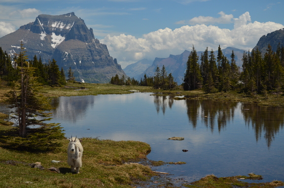 Glacier National Park