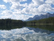 Good Morning Lake Herbert!