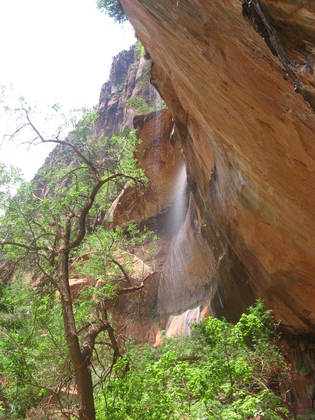 Zion National Park