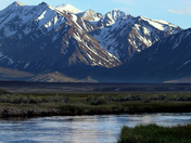 Inyo National Forest