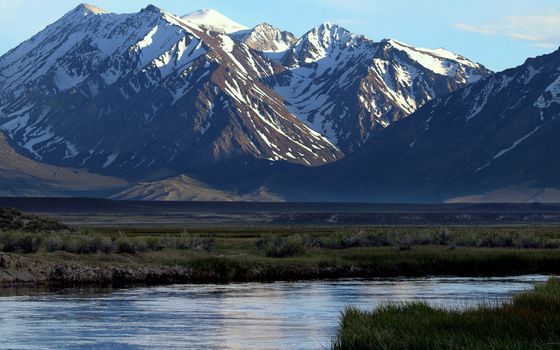 Inyo National Forest