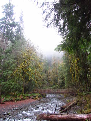 Olympic National Park