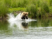 Katmai National Park